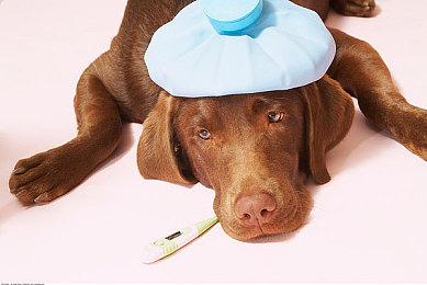 《请出示文件》开发者获GDC先驱奖 《心灵杀手》总监获终生成就奖